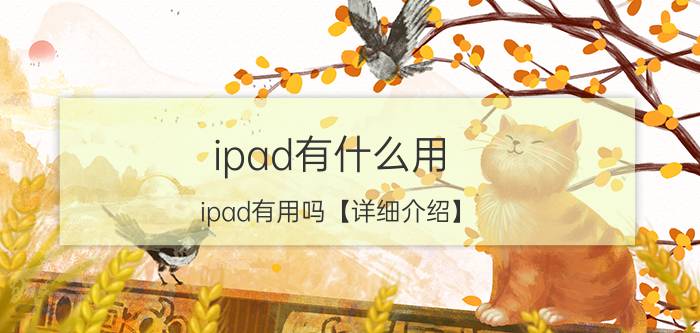 ipad有什么用 ipad有用吗【详细介绍】